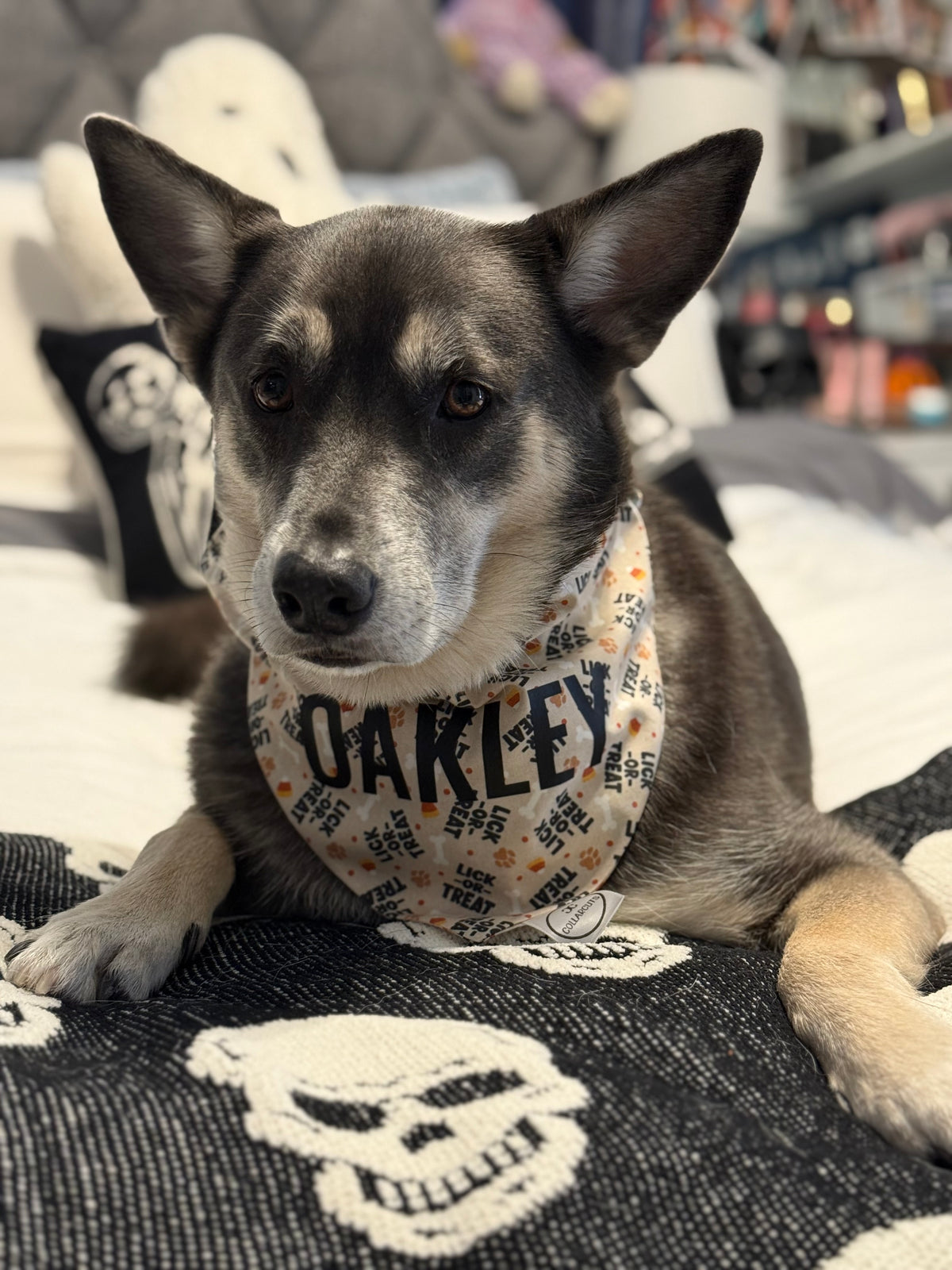 Lick or Treat Bandana