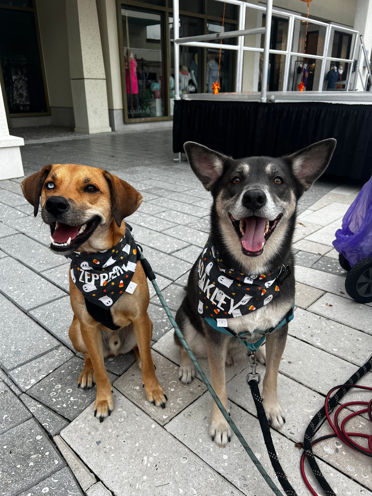 Candy Corn Ghosts Bandana