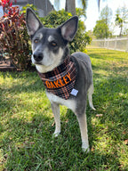 Halloween Buffalo Plaid Bandana