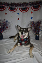 Patriotic Fireworks Bandana