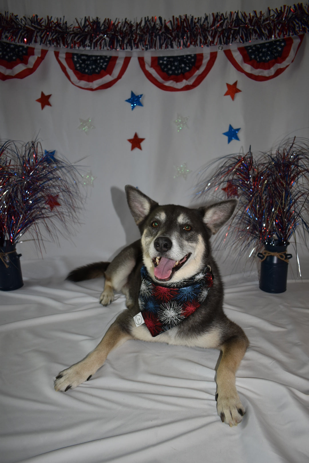 Patriotic Fireworks Bandana