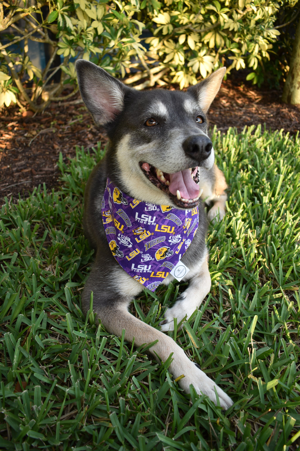 Geaux Tigers Bandana