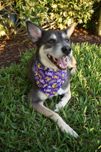 Geaux Tigers Bandana