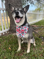 Heart Breaker Bandana