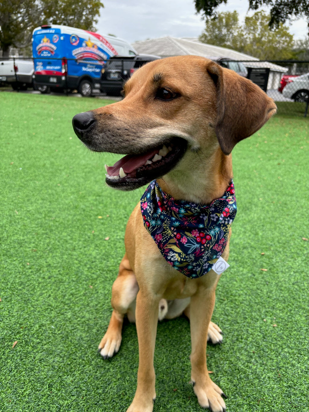 Mixed Floral Bandana