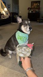 Margaritas Bandana