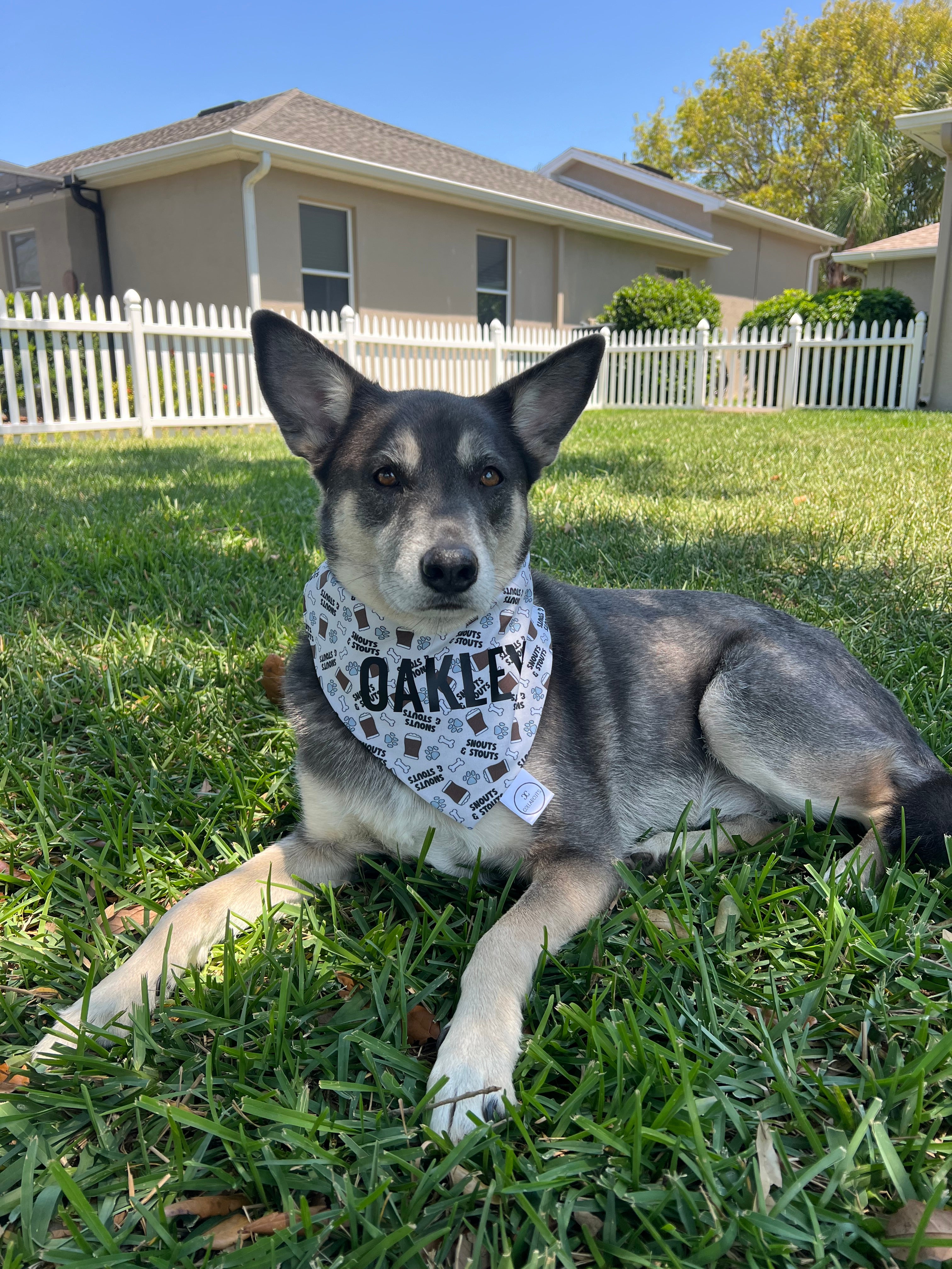 Snouts and Stouts Bandana