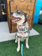 Halloween Stripe Donuts Bandana