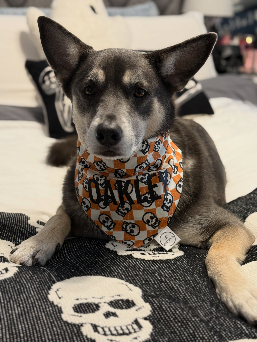 Vintage Checkerboard Skull Bandana
