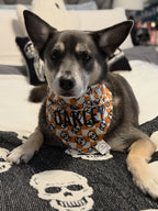 Vintage Checkerboard Skull Bandana