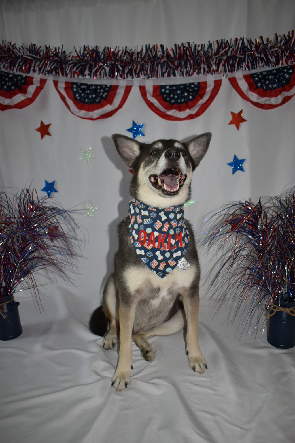 Patriotic Cookies Bandana