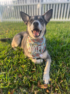 Oktoberfest Bandana