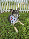 Polka Dot Mouse Heads Bandana