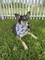 Polka Dot Mouse Heads Bandana