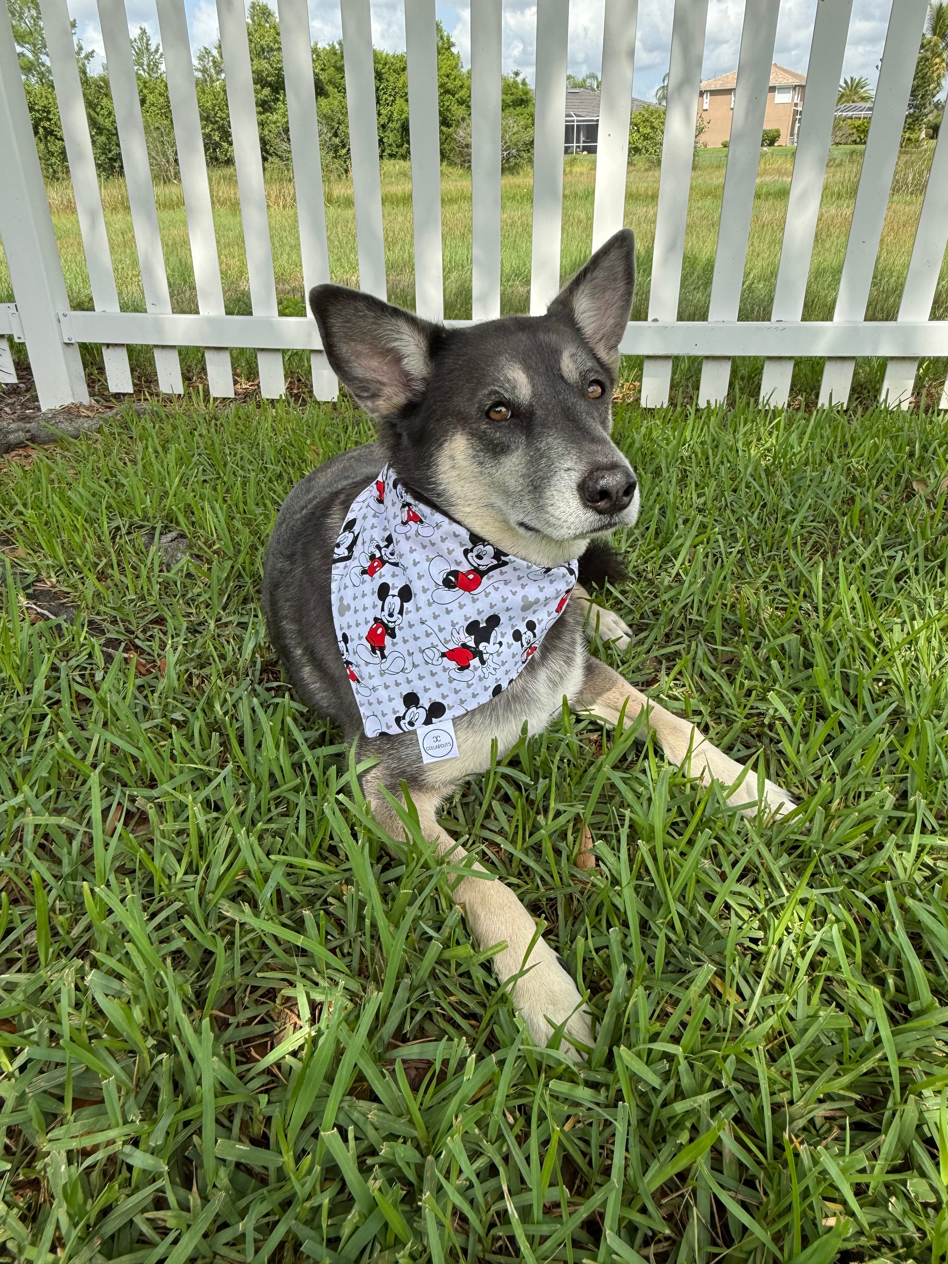 Polka Dot Mouse Heads Bandana