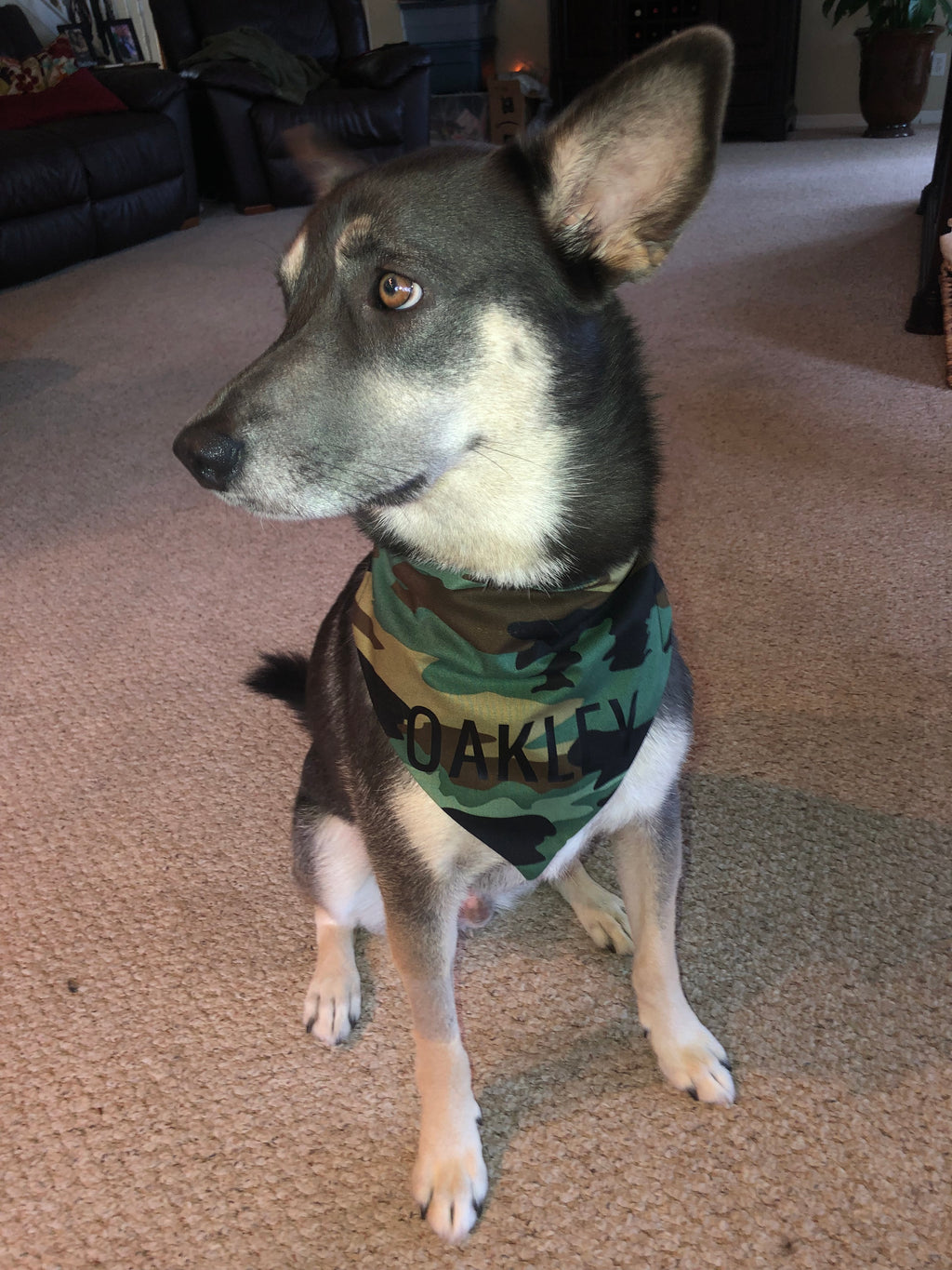 Camo Bandana