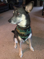 Camo Bandana