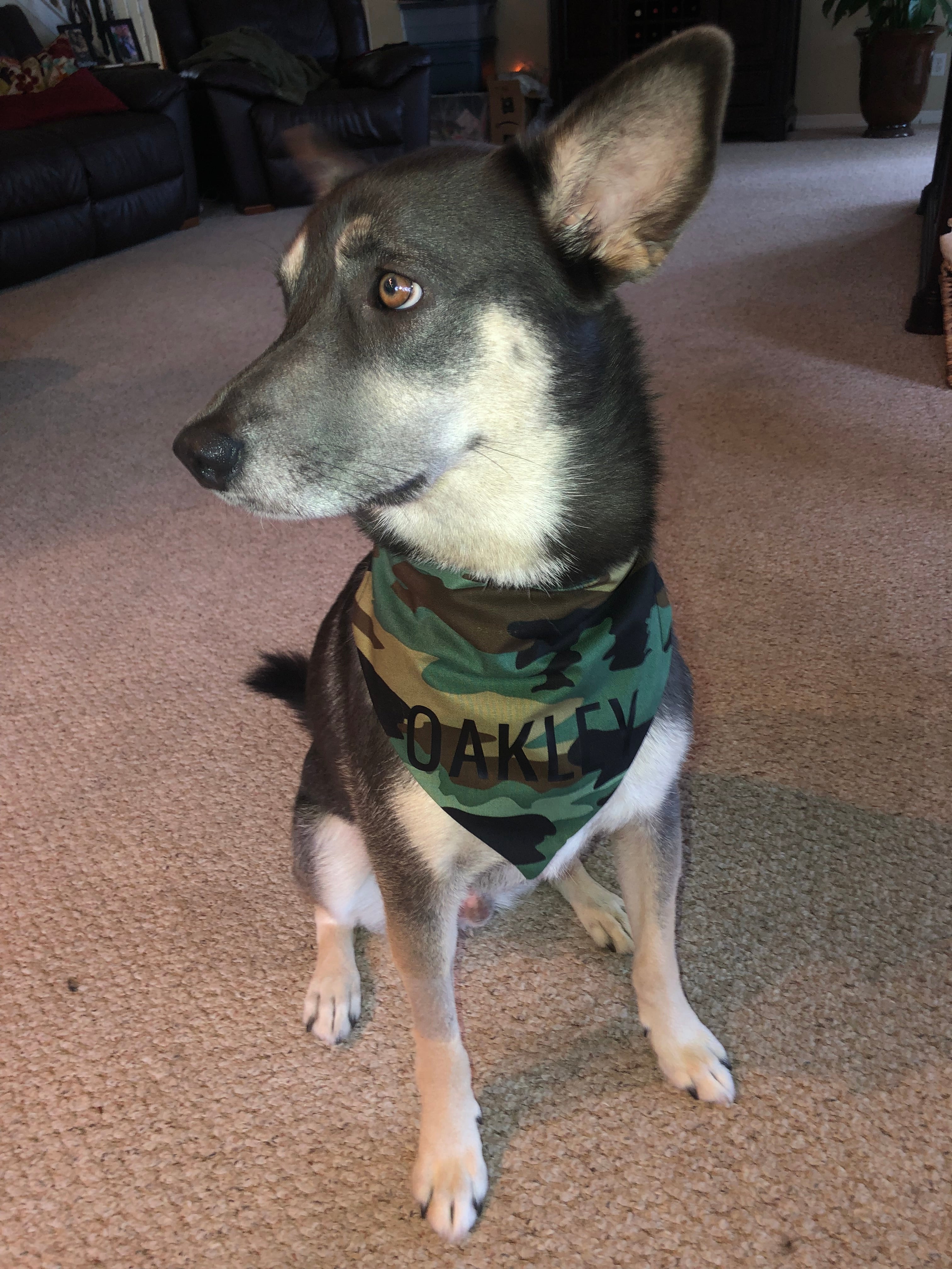 Camo Bandana