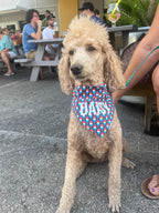 Bomb Pops Bandana