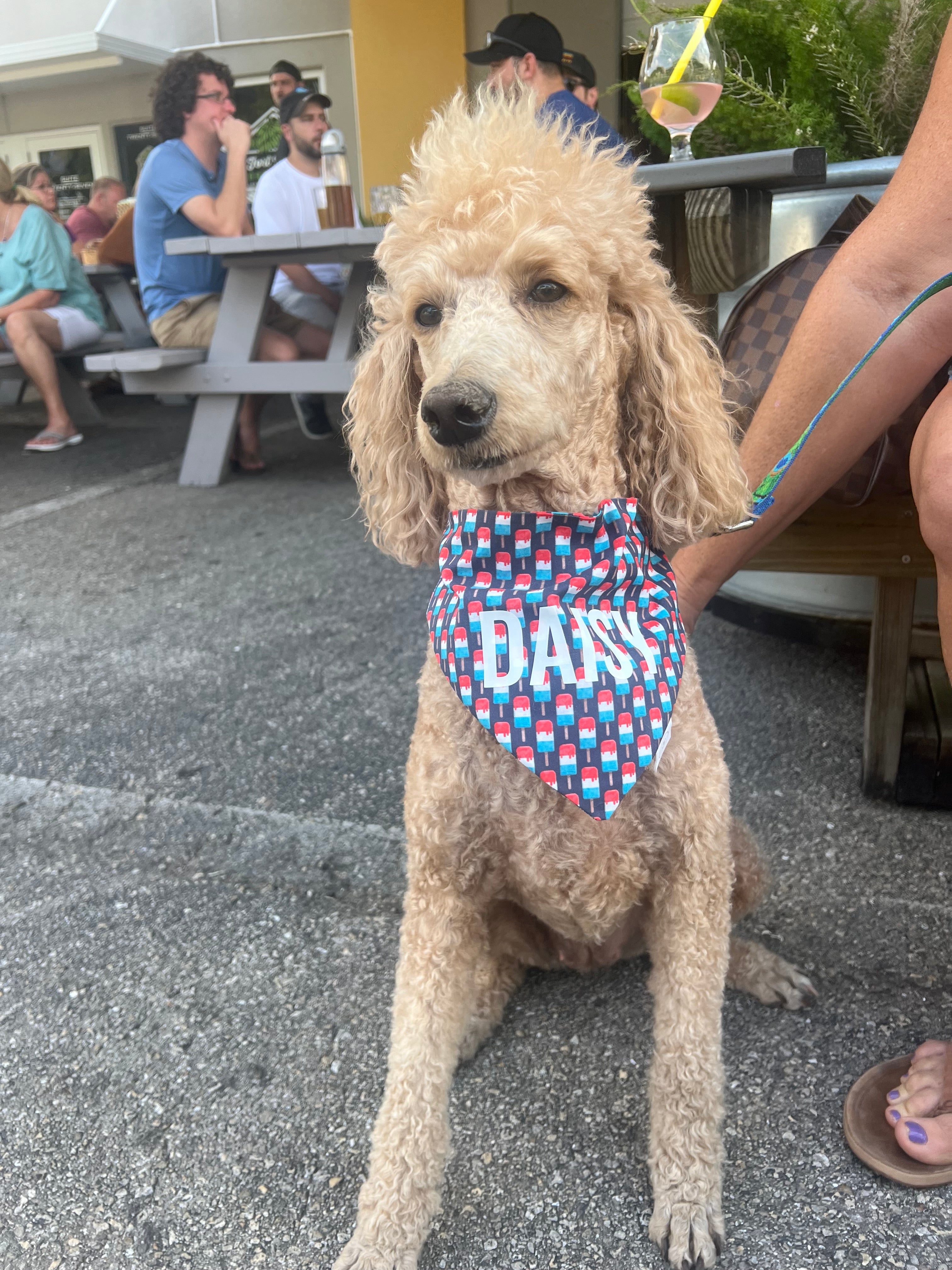Bomb Pops Bandana