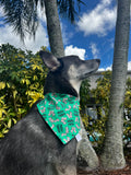 Squirrel Patrol Bandana