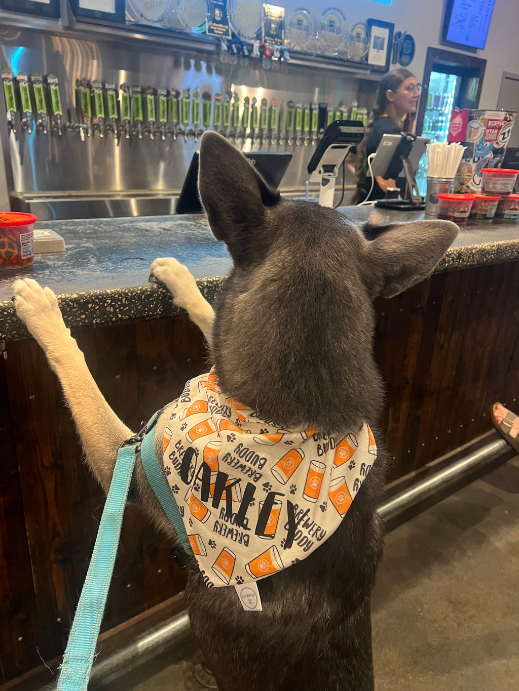Brewery Buddy Bandana
