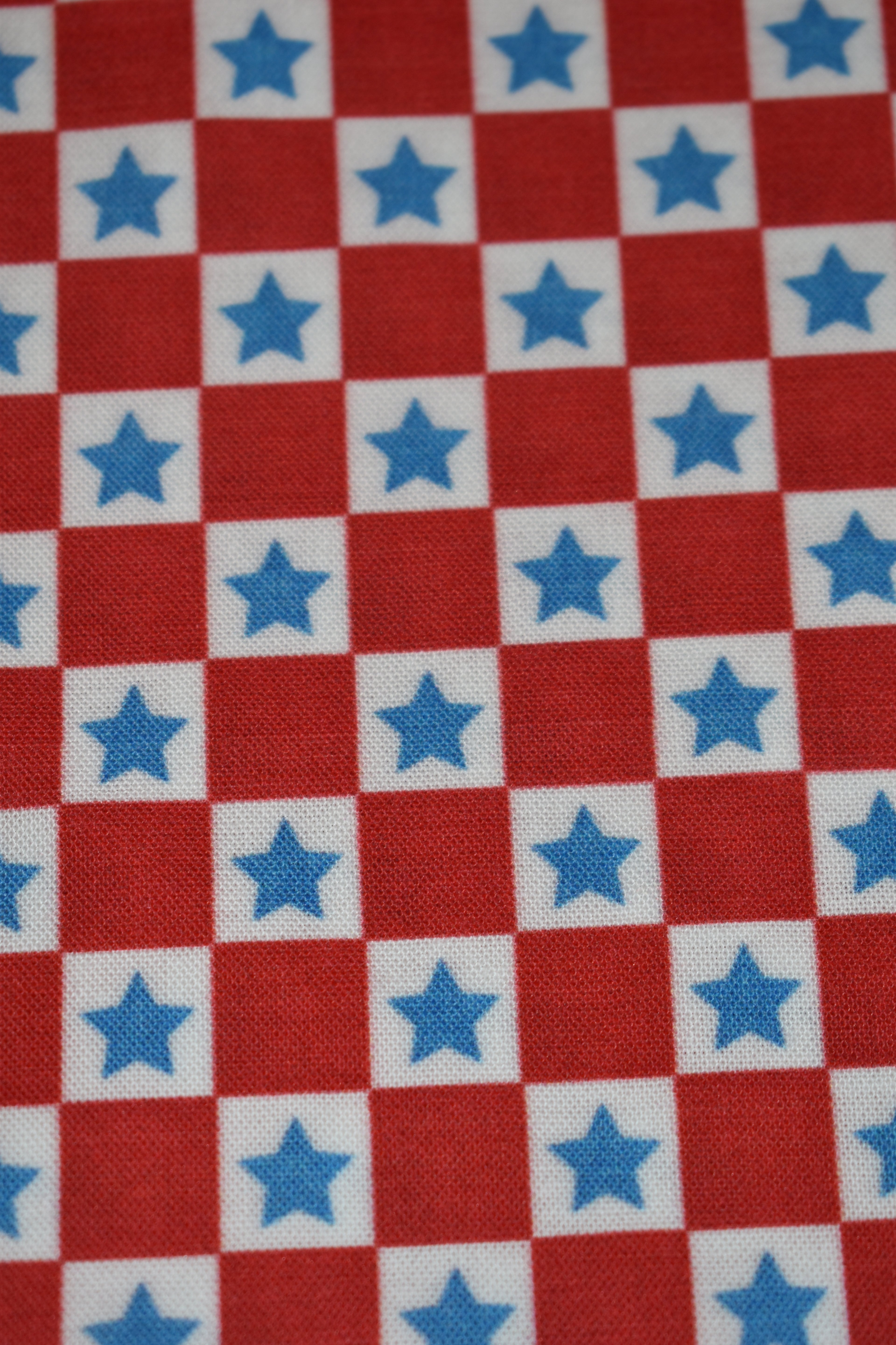 Checkerboard Stars Bandana