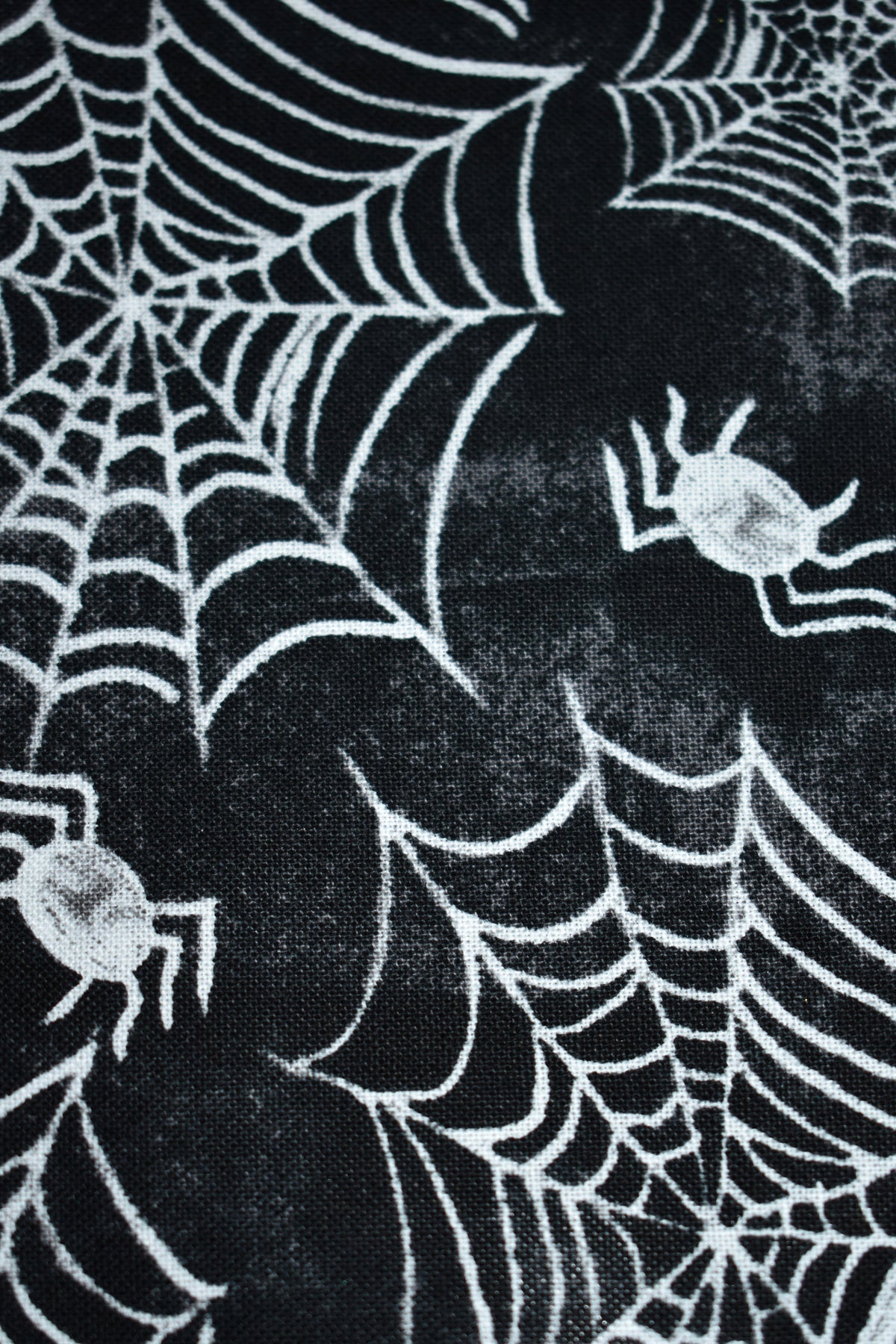 Spider Webs Bandana