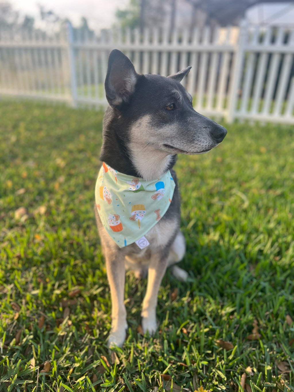 Pupcake Bandana