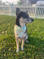 Pupcake Bandana