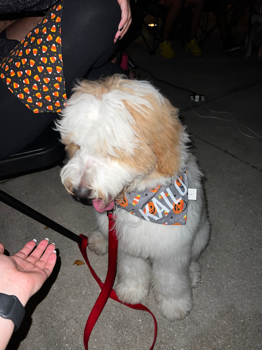 Halloween Candy Baskets Bandana