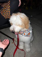 Halloween Candy Baskets Bandana