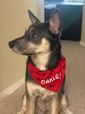 Red Mouse Bandana