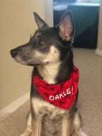 Red Mouse Bandana