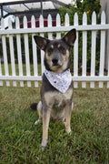 Patriotic Stars Bandana