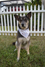 Patriotic Stars Bandana