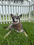 Cheetah Print Bandana