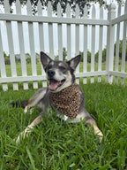 Cheetah Print Bandana