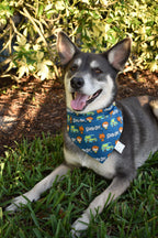Mystery Team Bandana