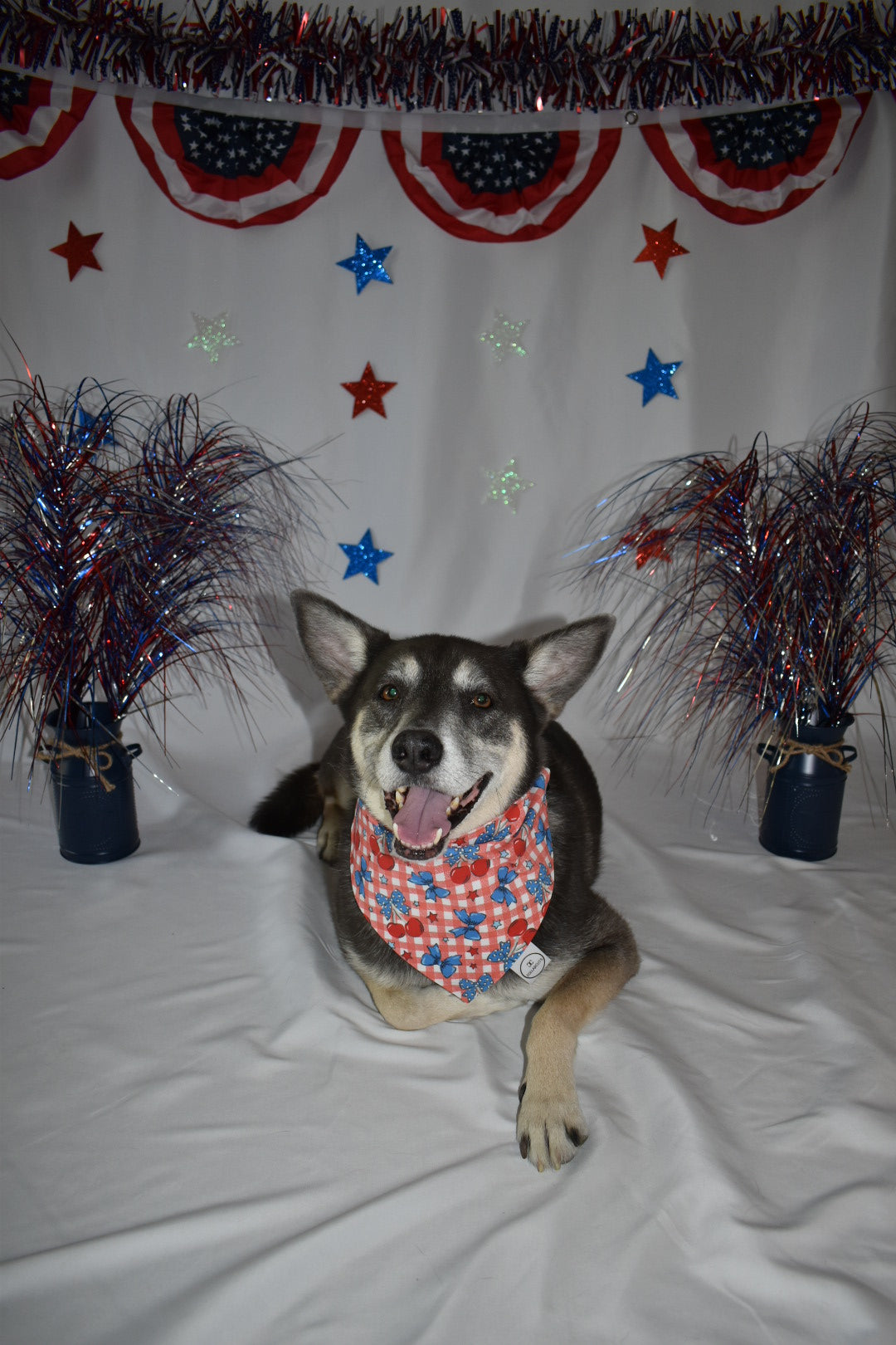Patriotic Bow Cherries Bandana