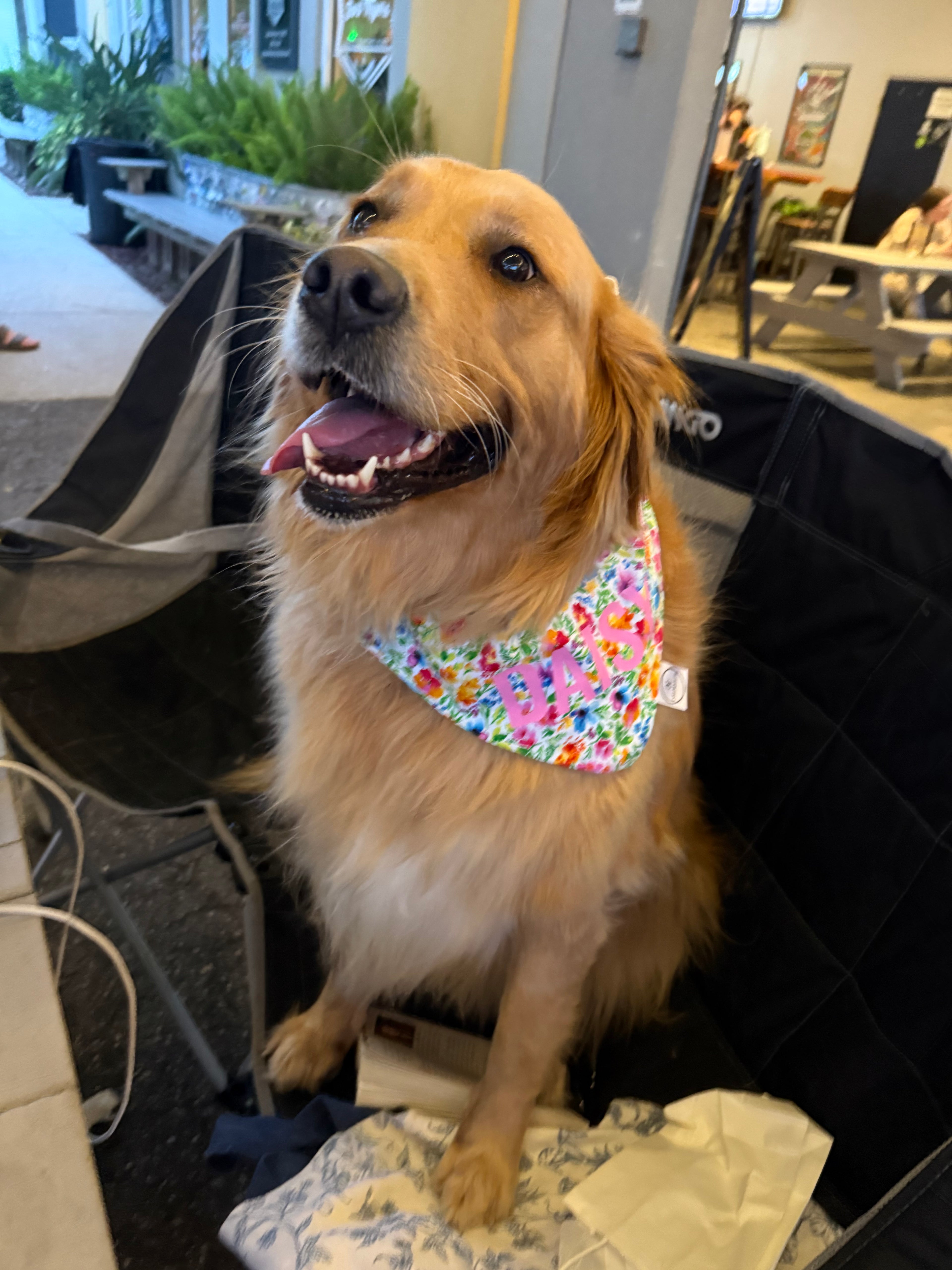 Colorful Floral Bandana
