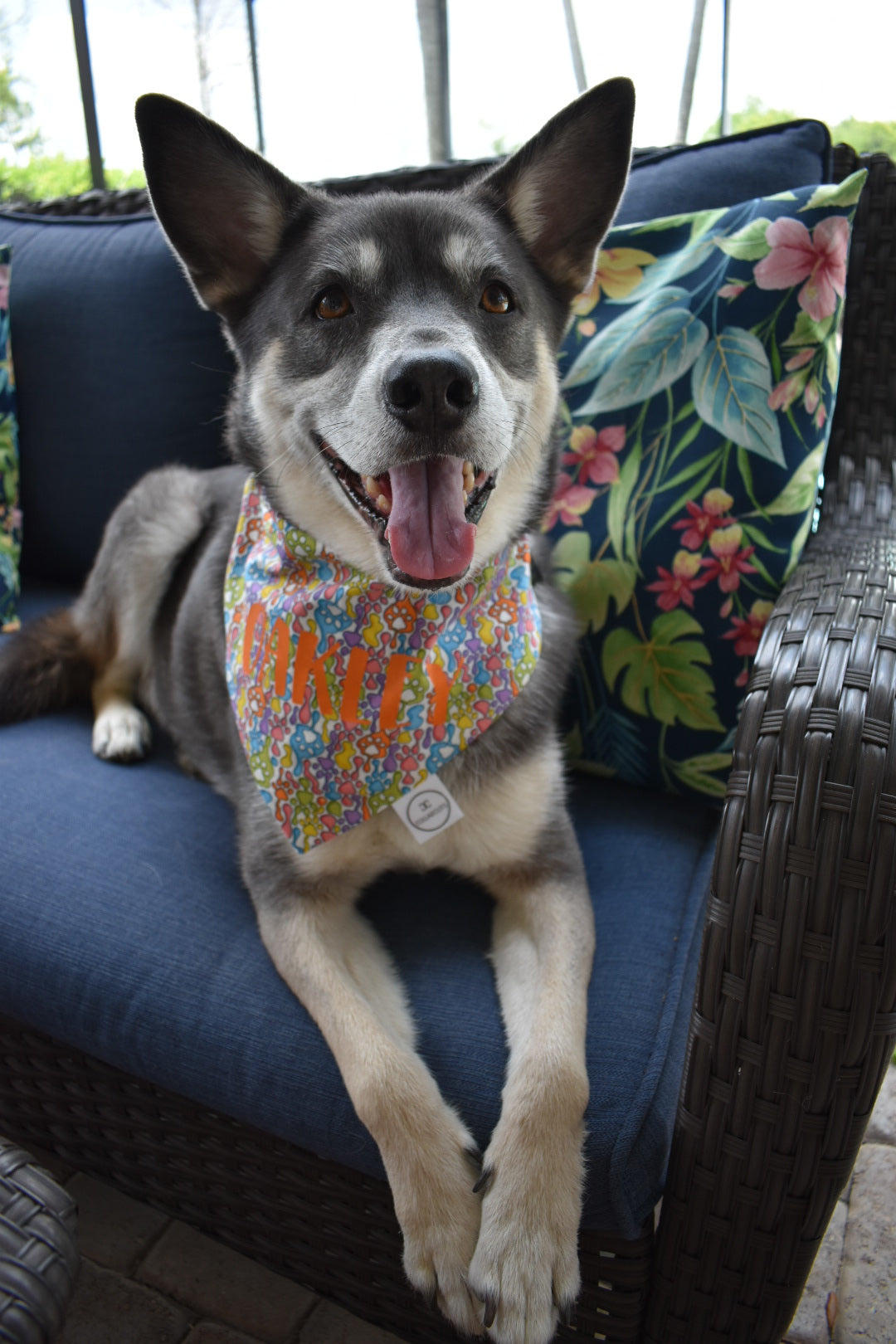 Lava Lamp Paw Prints Bandana