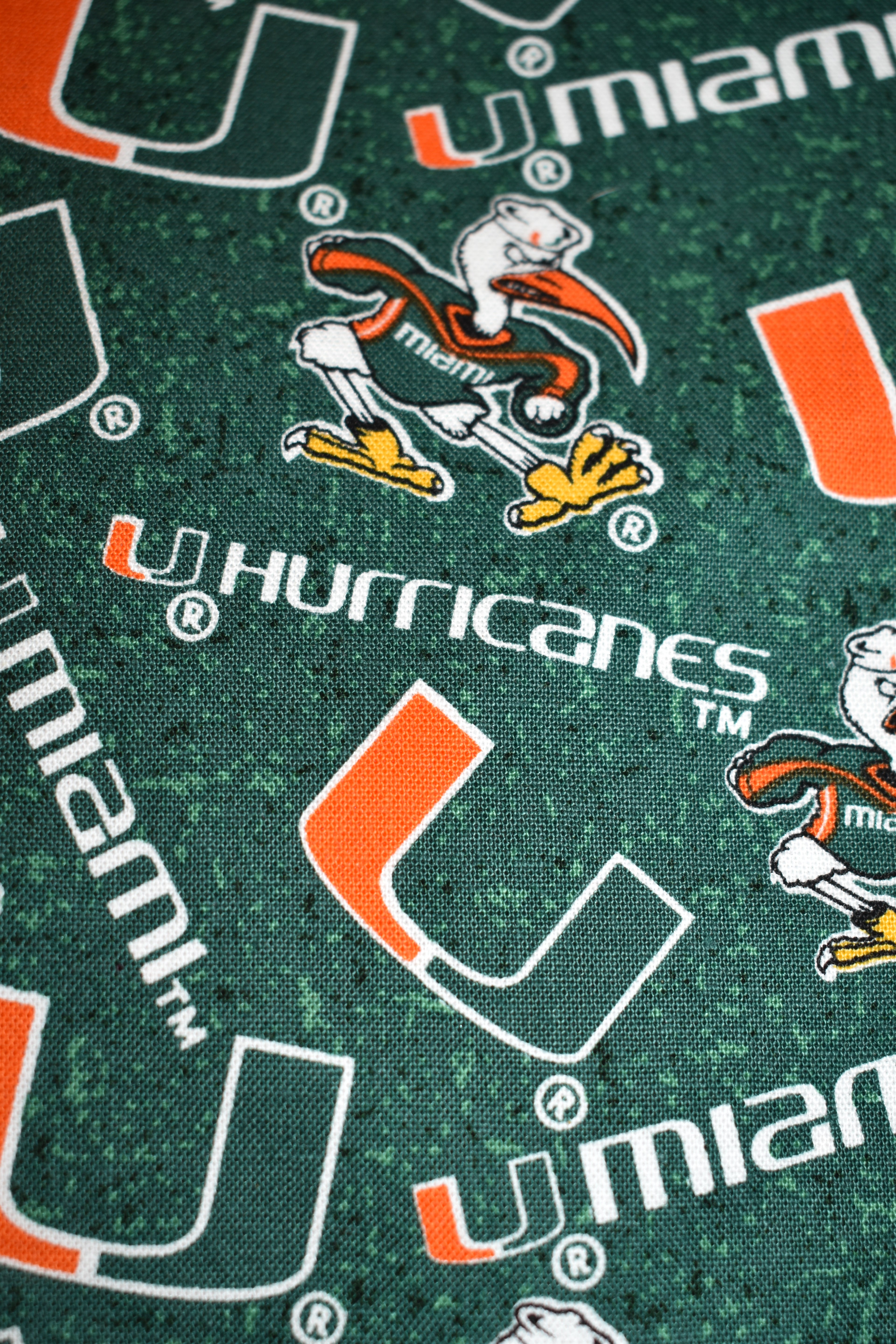 Hurricanes Bandana