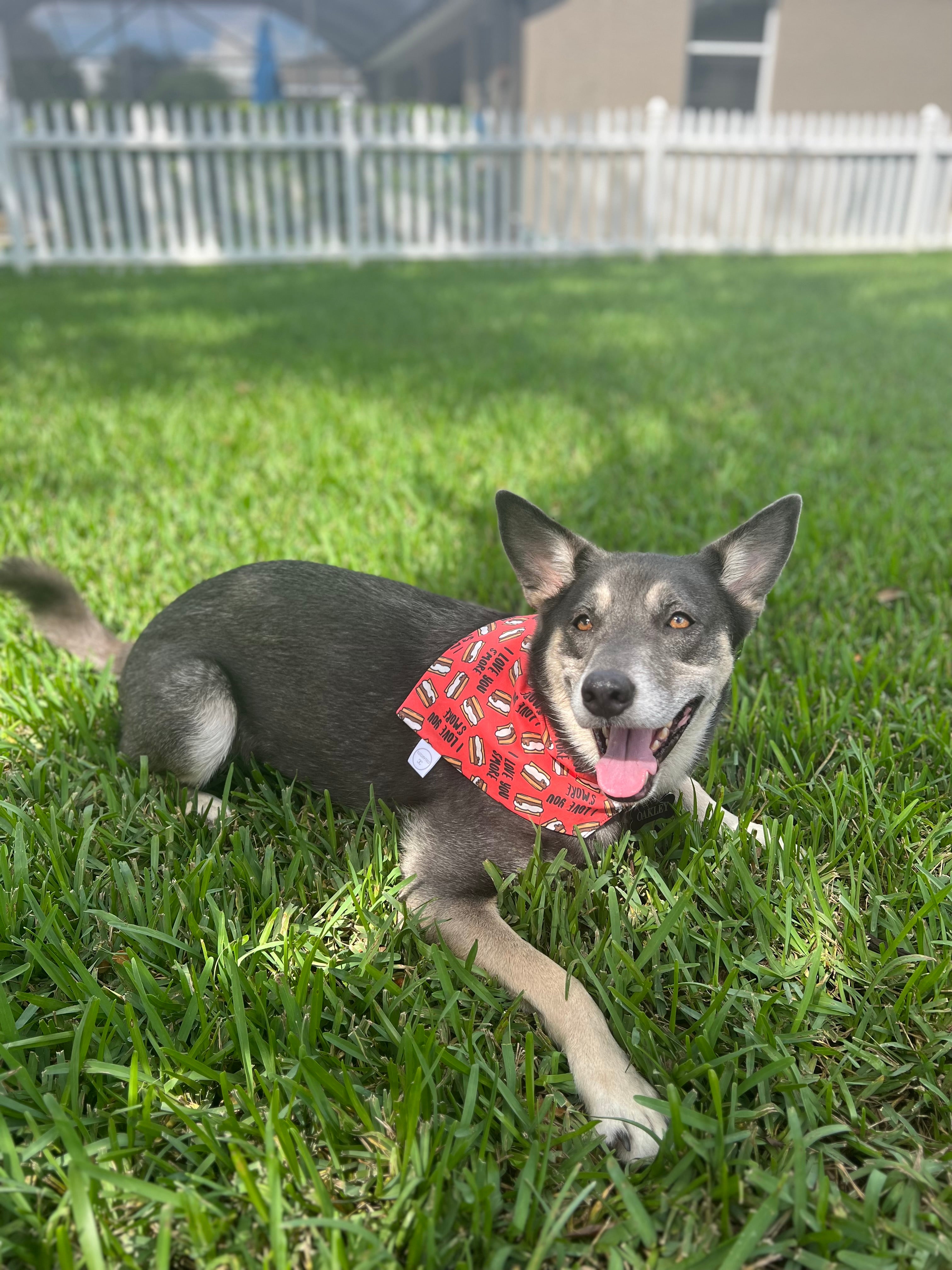 I Love You Smore Bandana