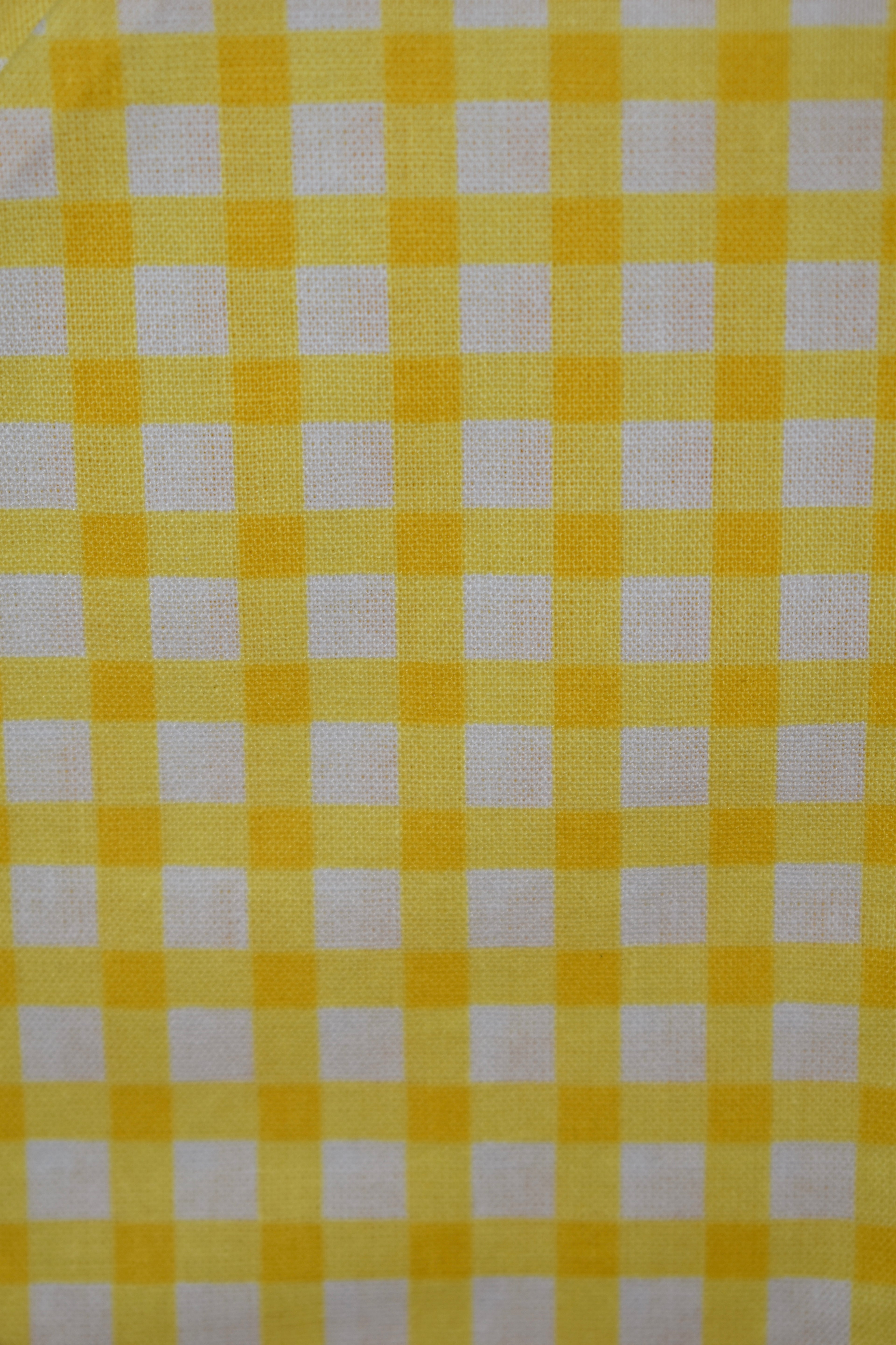 Classic Buffalo Check Bandana