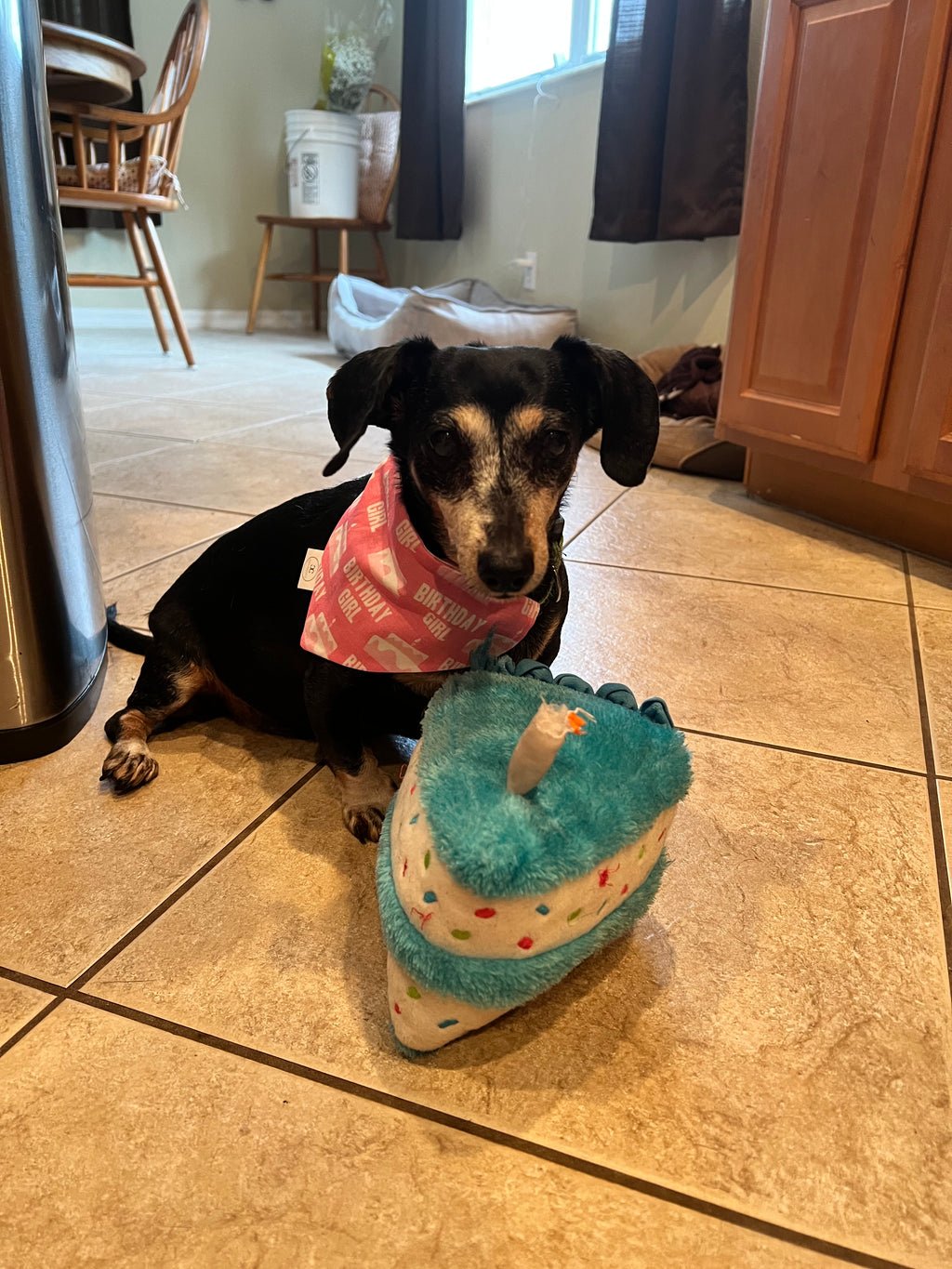 Birthday Girl Bandana
