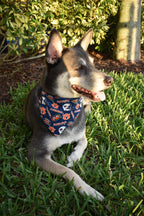 War Eagle Bandana