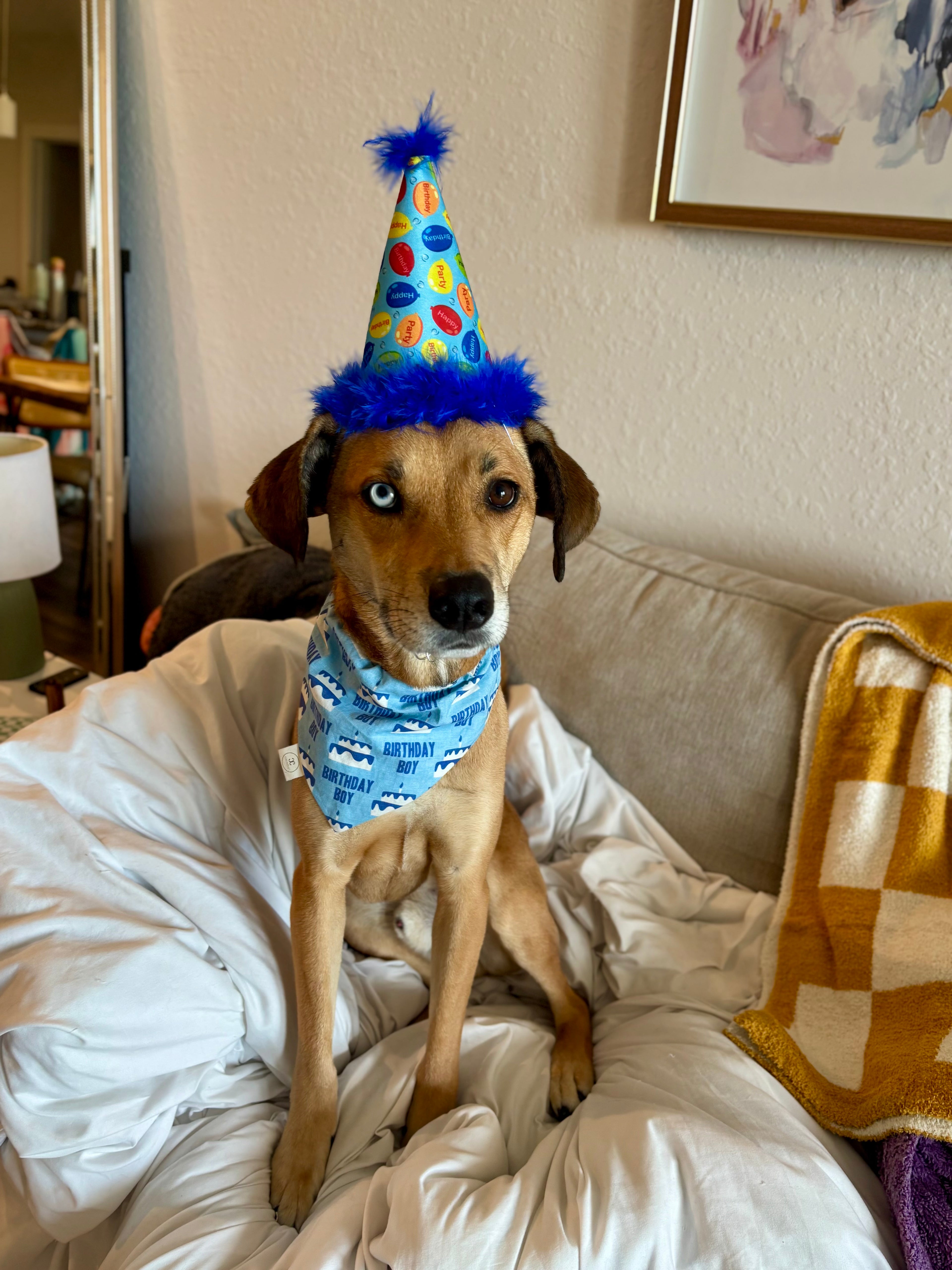 Birthday Boy Bandana