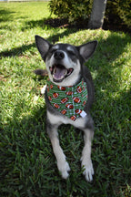 Football Field Bandana