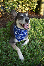 Lightning Bandana